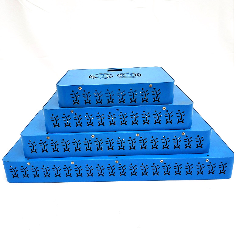 Különböző méretű növénylámpa elhelyezése