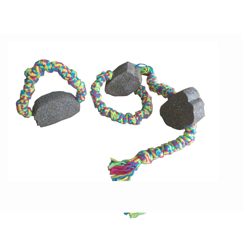 A legnépszerűbb puha kutya kedvtelésből tartott játék szabadtéri tanulmányozáshoz