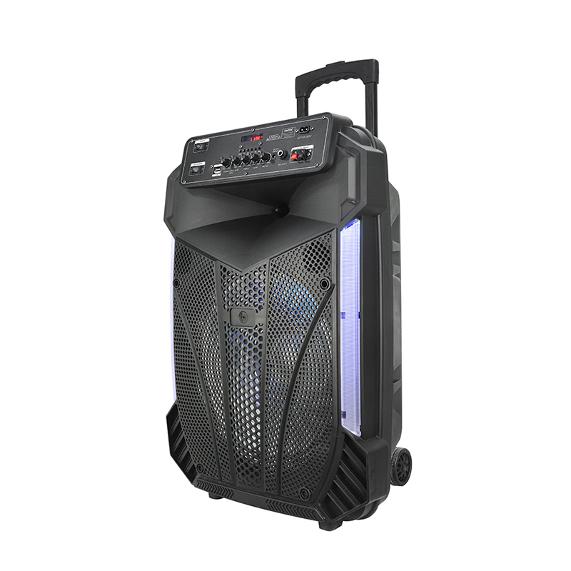 Trollry Speaker Y-K9-12ZH