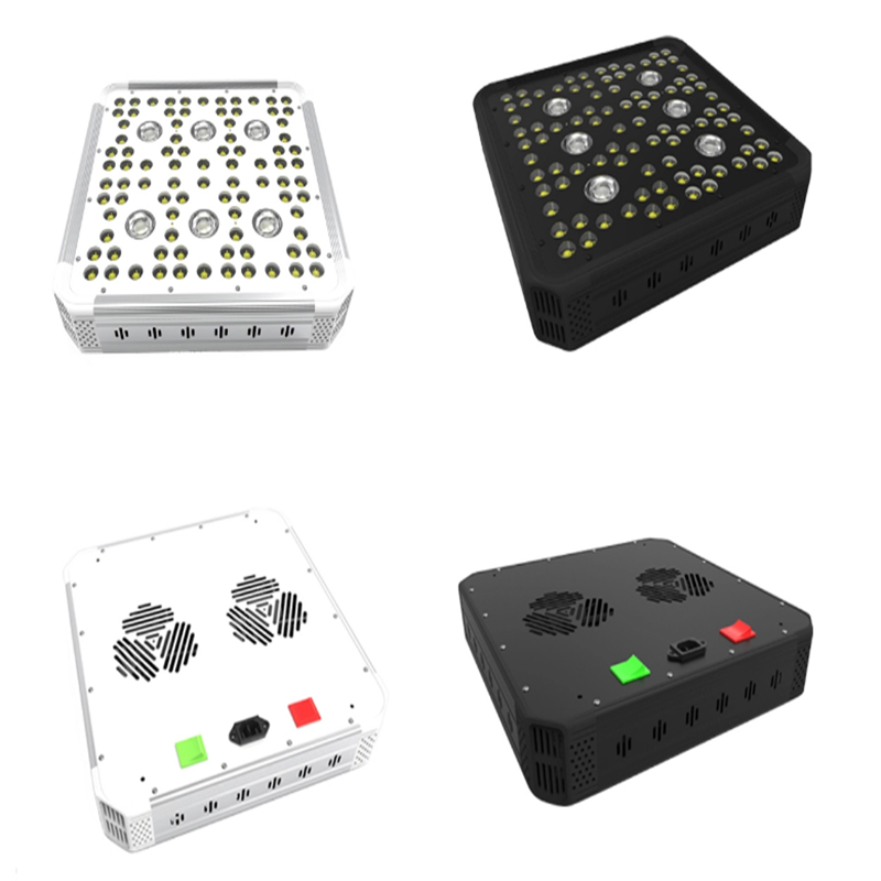 G1 Növekedési Fények