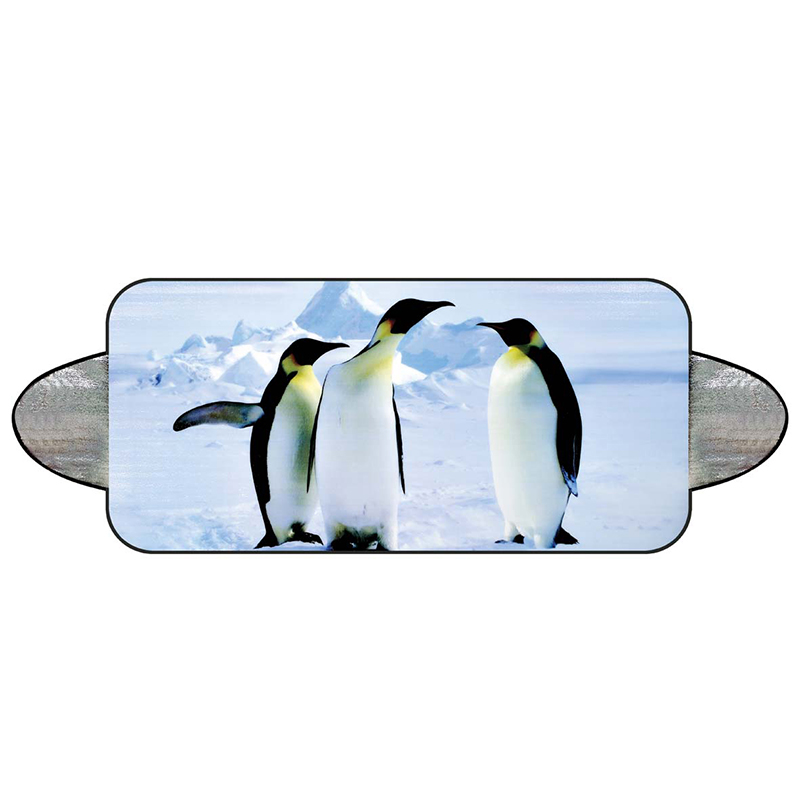 autó hó árnyékában