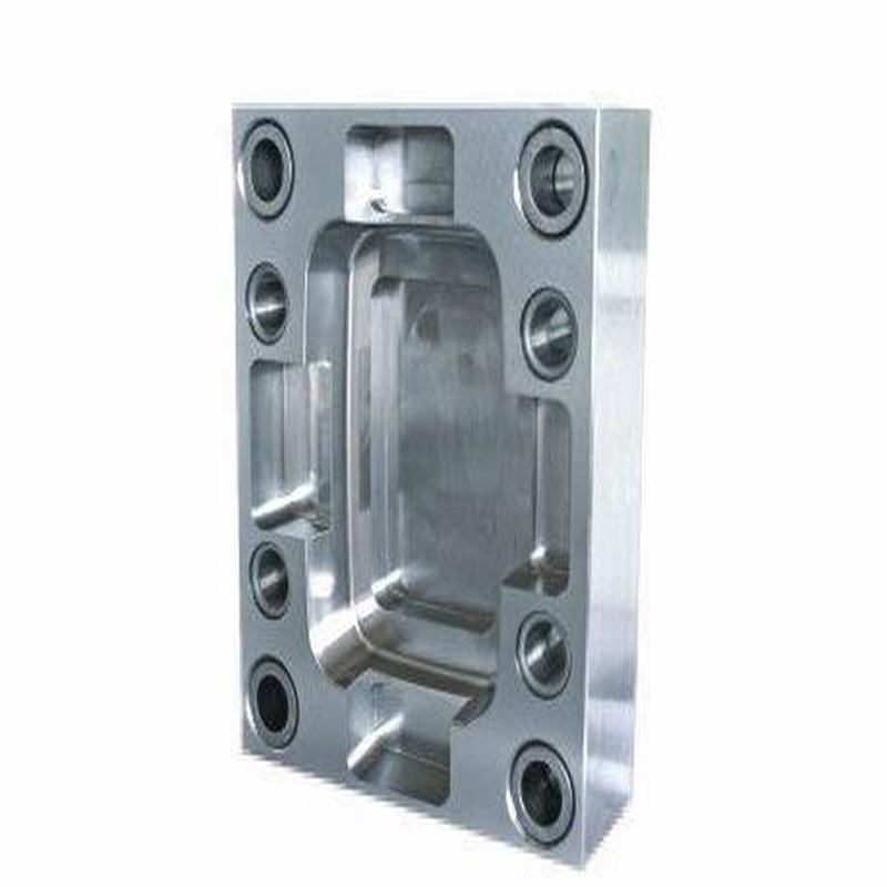 dieöntési penész alapja