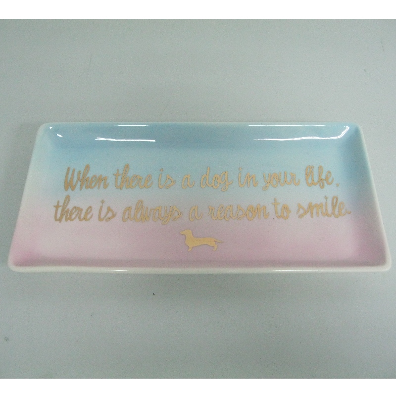 Ceramic Food Service Plate Derection Plate 4.5”x9