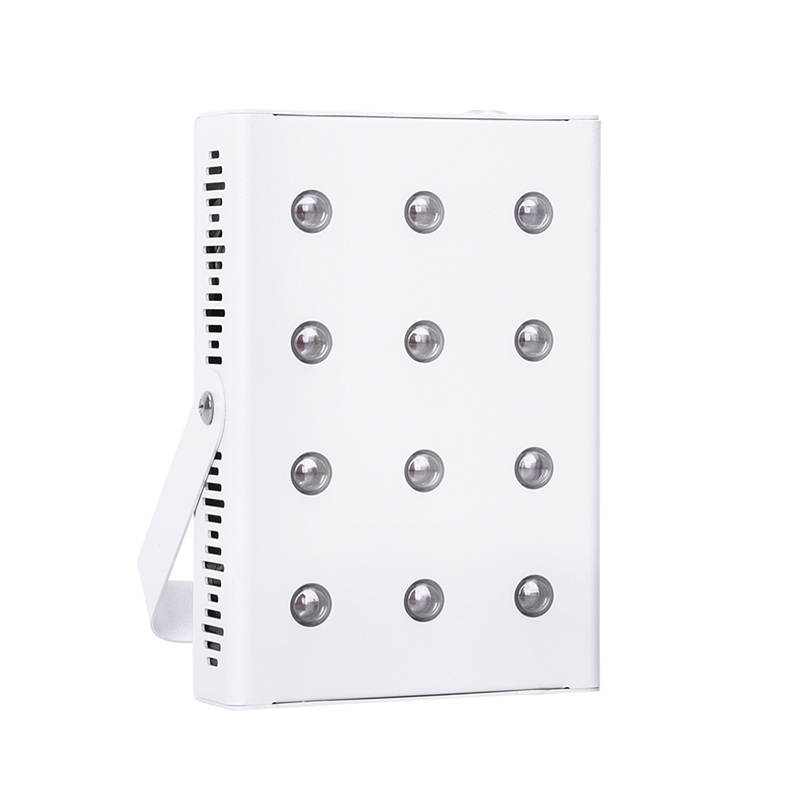 RD60 Portable Red Light Therapy Felhasználása megfizethető vörös fény terápia