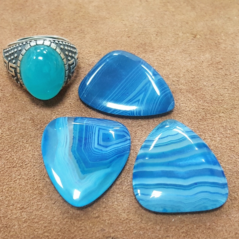 A gombmodellezés diverzifikált fejlesztése