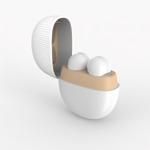 Handfree Headphone TWS Earrrücks Wireless Earlhone Charking Case