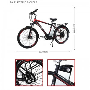 XS EBIKE