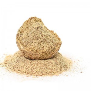 Poligonum cuspidatum