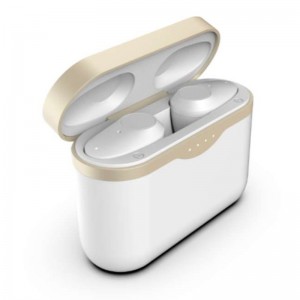 FB-BEGFLL1 High-end TWS fülhallgató az ANC funkcióval