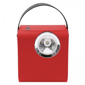 FB-BS5060 Fa Bluetooth hangszóró LED-es fáklyával