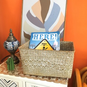 Hínár tároló doboz