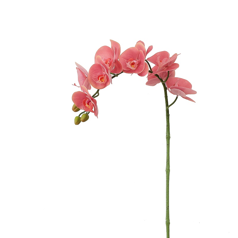 Kiváló minőségű valódi érintett egynemű mesterséges orchidea az értékesítéshez