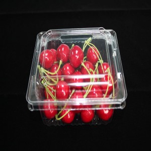 Kagylós élelmiszer csomagolás