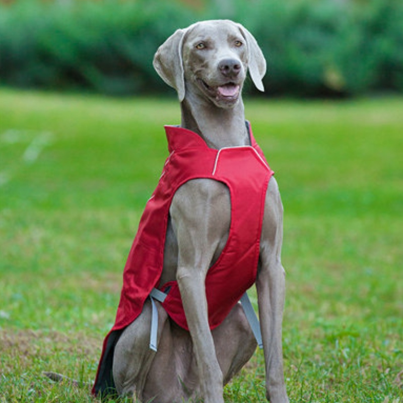Klasszikus stílusú fényvisszaverő kutya kabát Vízálló állítható téli kutya kabát reverzibilis könnyű
