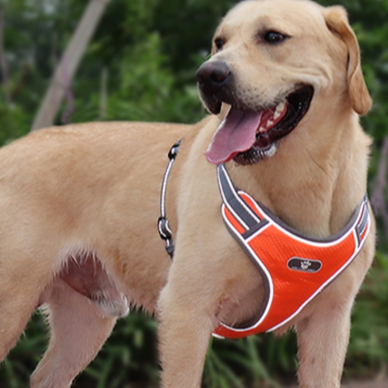 Nagykereskedelmi OEM gyártása Egyedi High End kutyahám luxus Pet Dog Váltvaforgató kábelköteg Fényvisszaverő kutyahám