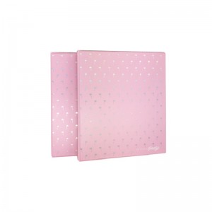 Iskola A4 méretű műanyag kar íve fájl mappa 3 o gyűrűs kötőanyag a dokumentumhoz