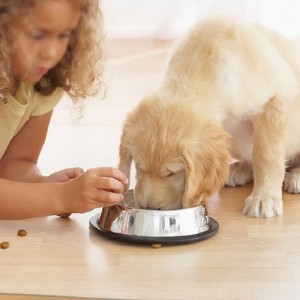 2022 Amazon Hot Sale szék szőnyeg keményfa padló védelmére Átlátszó PP Office Desk szék szőnyeg