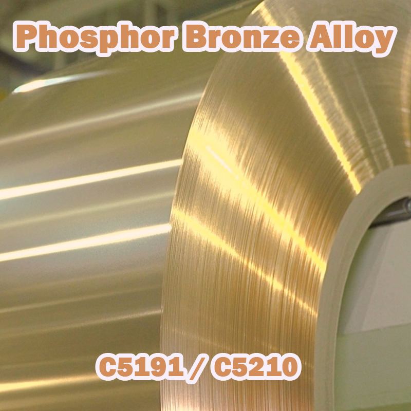 C5191 C5210 Phospor Bronz Alloy sorozat