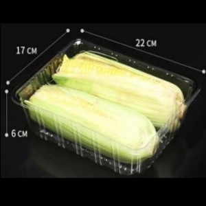 Nincs borító mély tálca 220*170*60 mm Hgf-2217