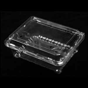 Gyümölcsdoboz fedéllel 175*137*75 mm Hgf-500m