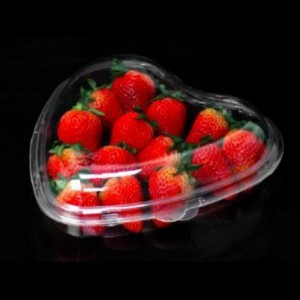 Cardioid doboz átlátszó fedél 185*45 mm