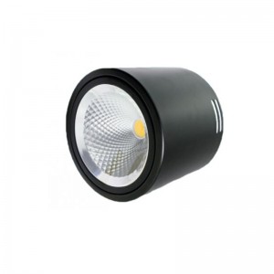LED LEW Light
