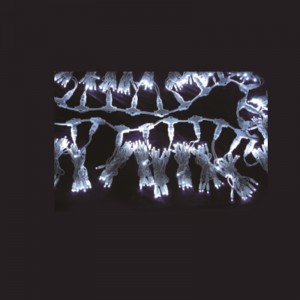 LED karácsonyi fénykészlet