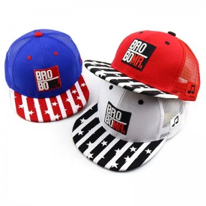 Egyedi 3D hímzés hip hop kaszkett Sport sapkák Baseball sapka Új Vintage sapka egy keret háló Snapback sapka