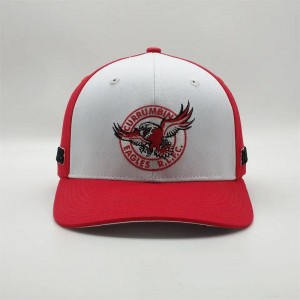 Egyéni kiváló minőségű 6 panel hímzés Két hang előzetes ívelt karcsú kalap alacsony profilú pamut apa baseball sapka