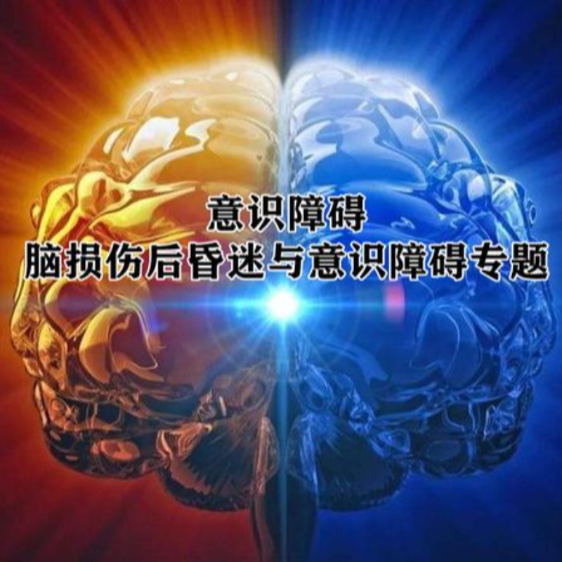 NMN javítja a traumás agyi sérülést