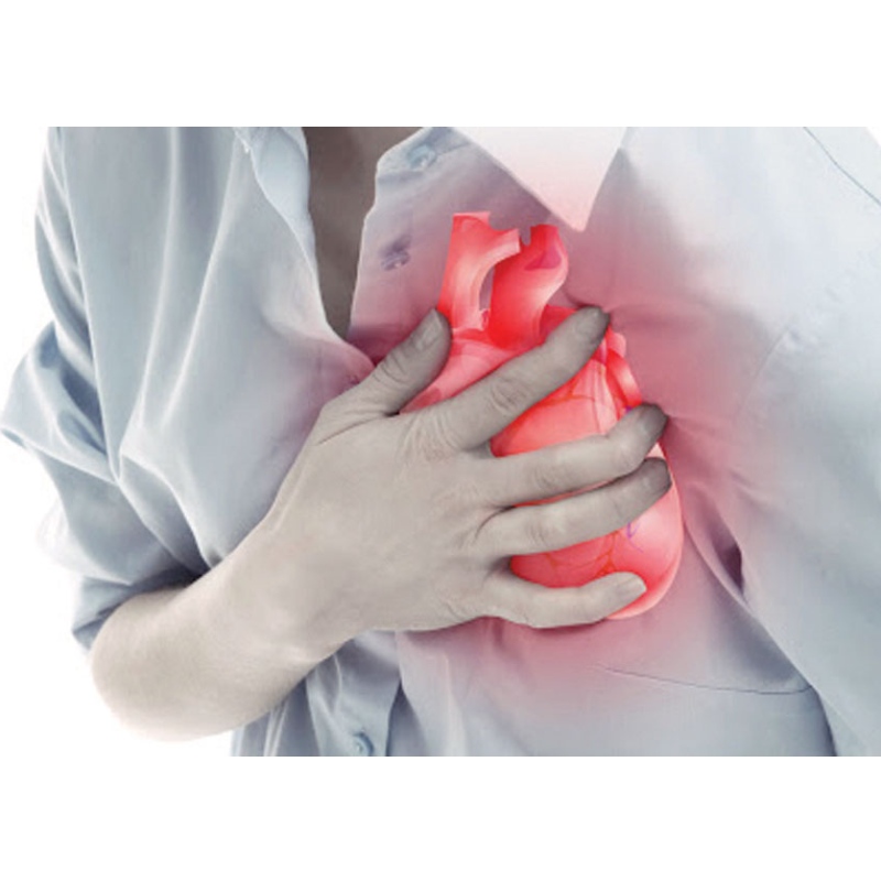 Nanjing Orvostudományi Egyetem: Az NMN javítja a miokardiális infarktust