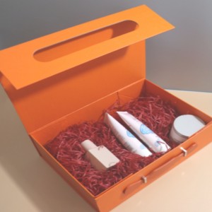 Hordozható többfunkciós csomagolódoboz