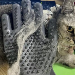 kesztyű a masszázshoz