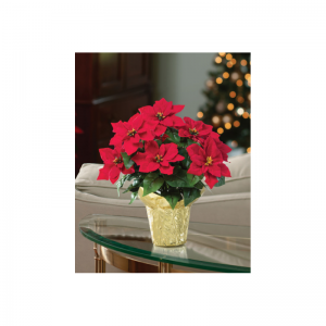 Mesterséges ünnepinövények