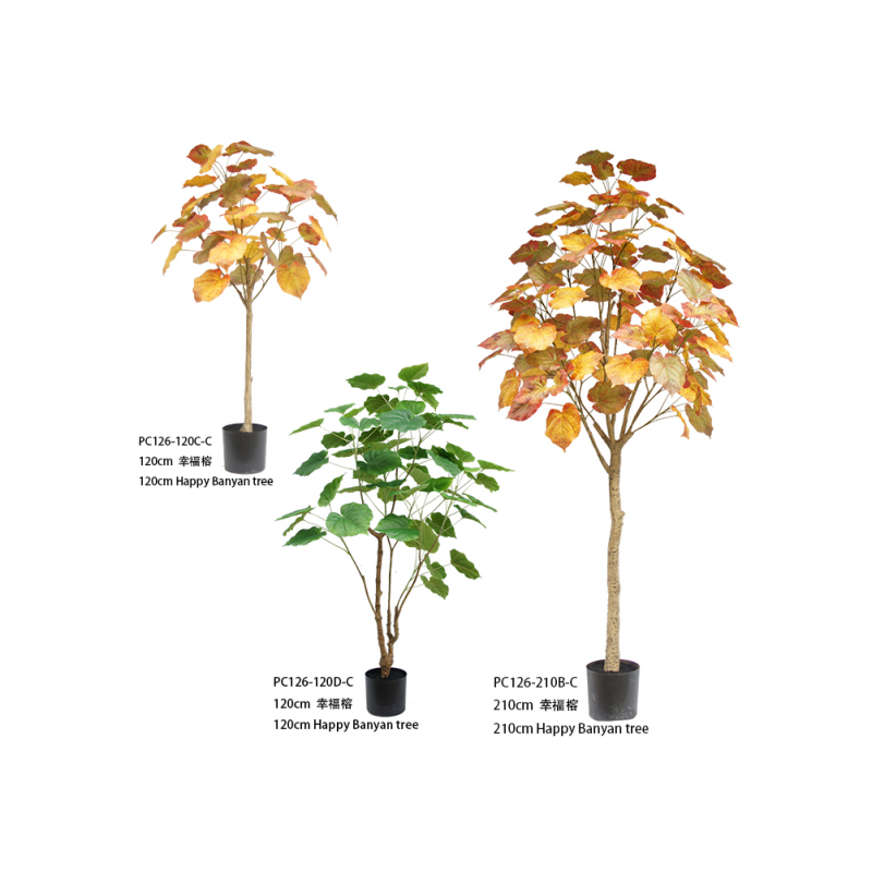 Boldog banyan fa